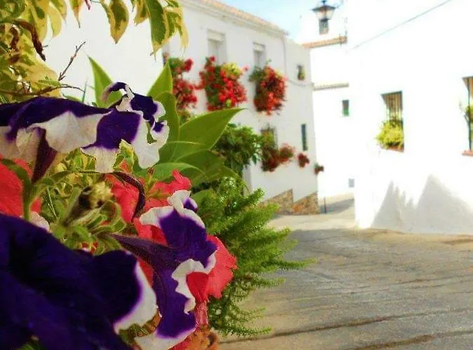 Valleverde Apartment Fuengirola